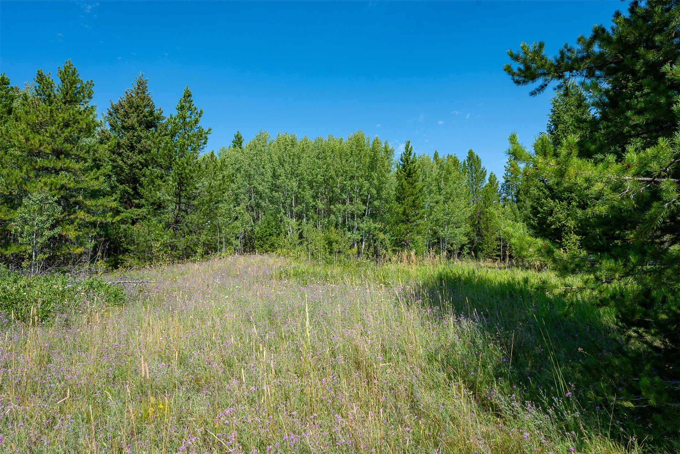 2 2 Bear Springs Road Lincoln, MT 59639 - Photo 23 of 55 Gallery Image 23