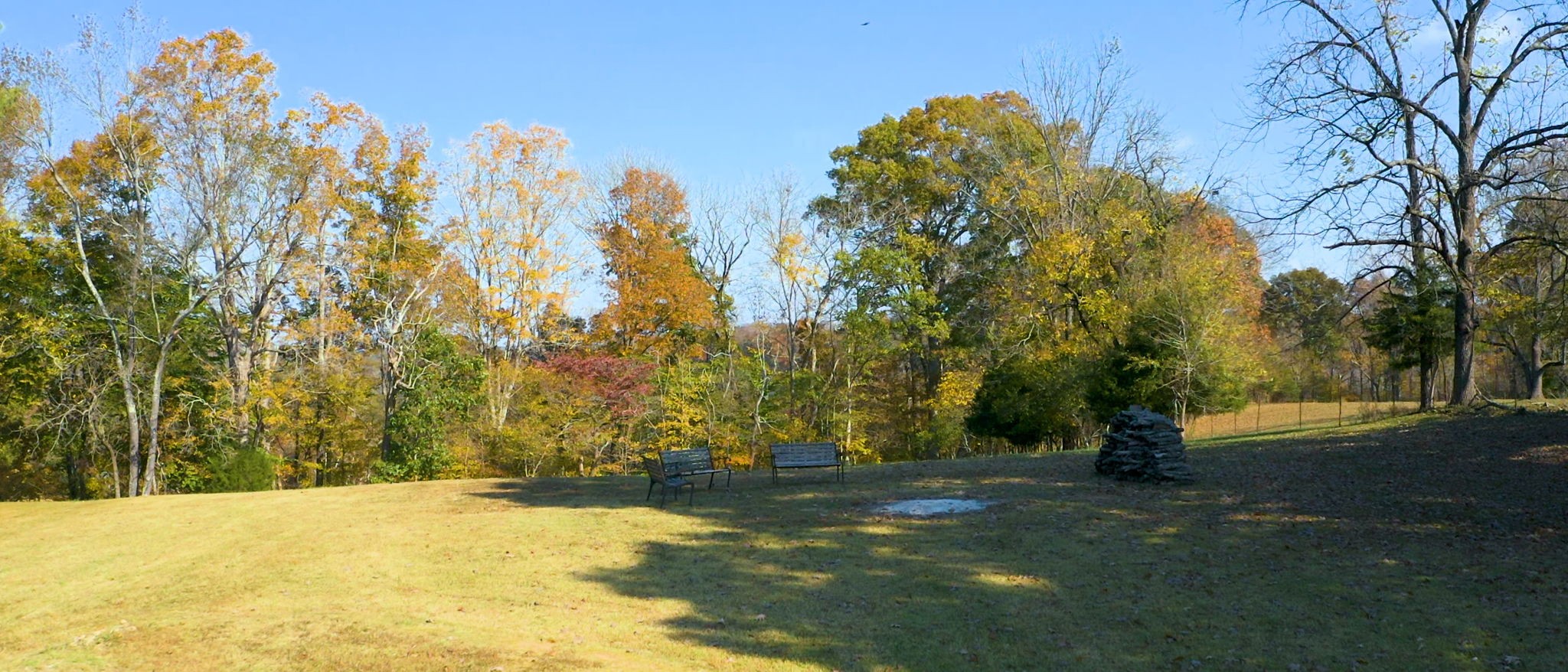 1253 White Road Bon Aqua, TN 37025 - Photo 4 of 73