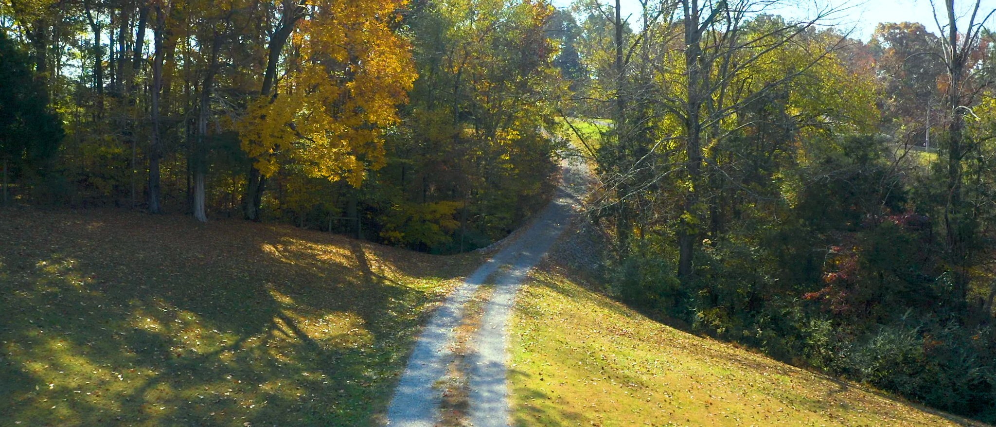1253 White Road Bon Aqua, TN 37025 - Photo 6 of 73