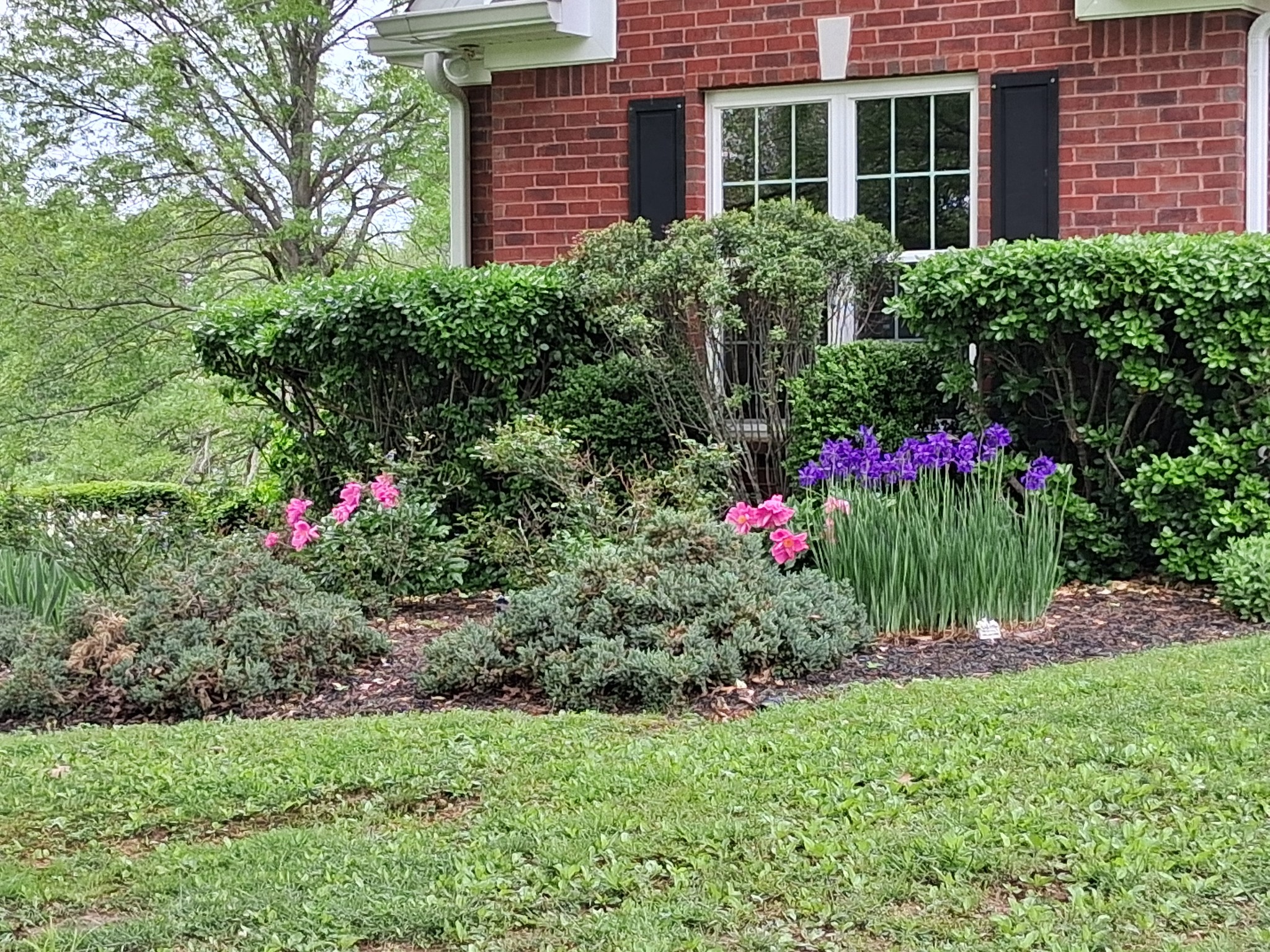1253 White Road Bon Aqua, TN 37025 - Photo 61 of 73