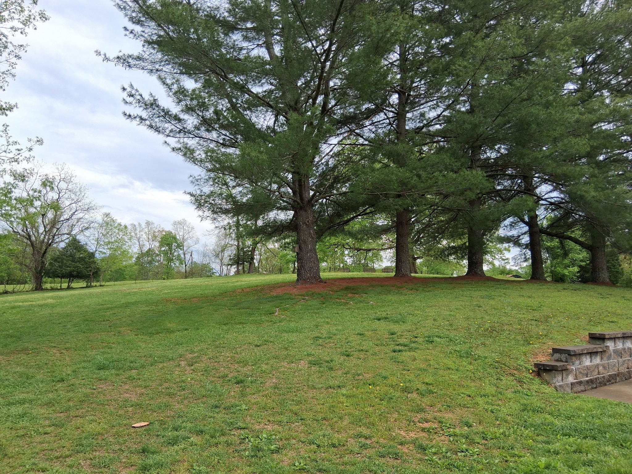 1253 White Road Bon Aqua, TN 37025 - Photo 67 of 73
