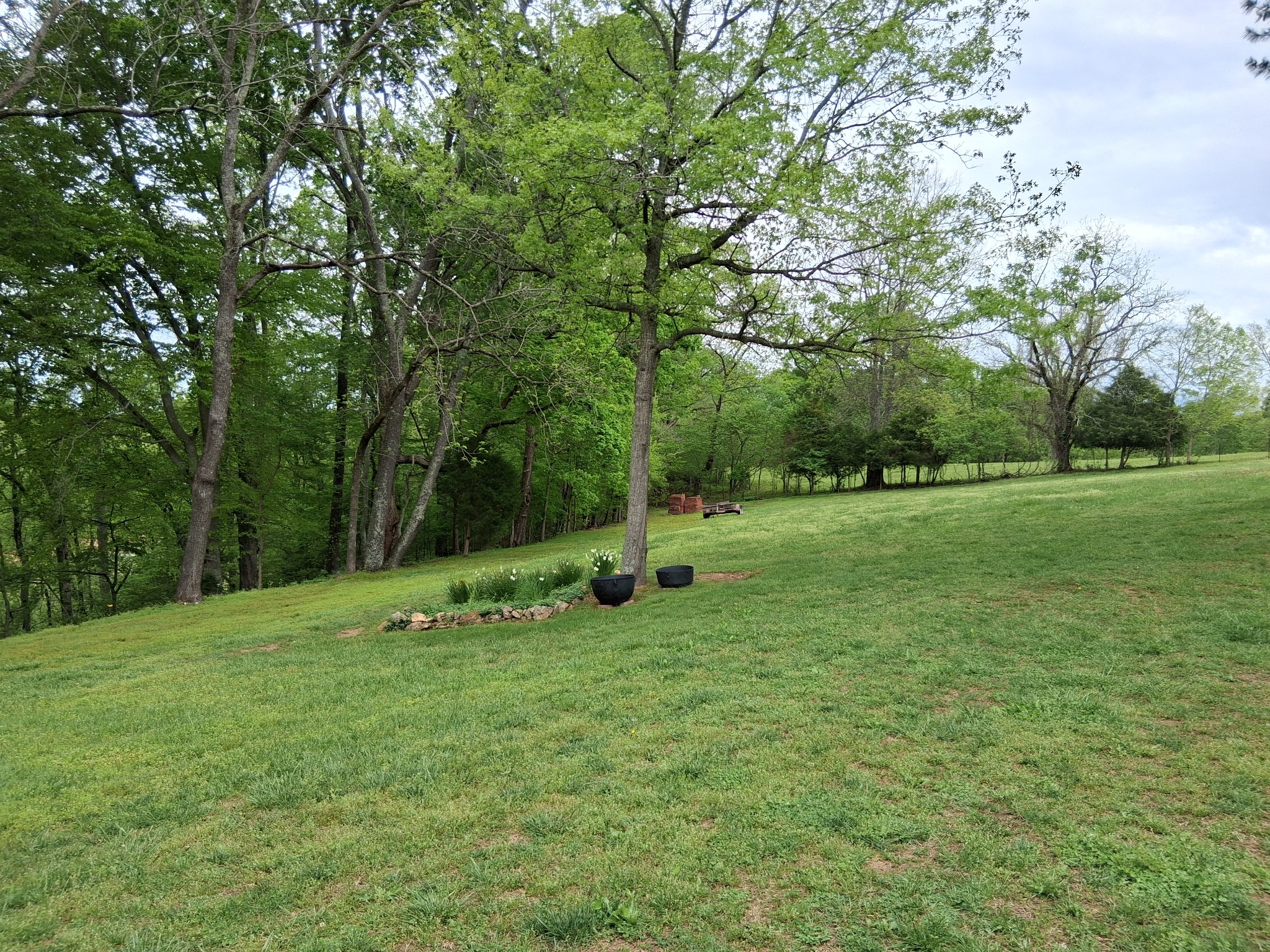 1253 White Road Bon Aqua, TN 37025 - Photo 70 of 73
