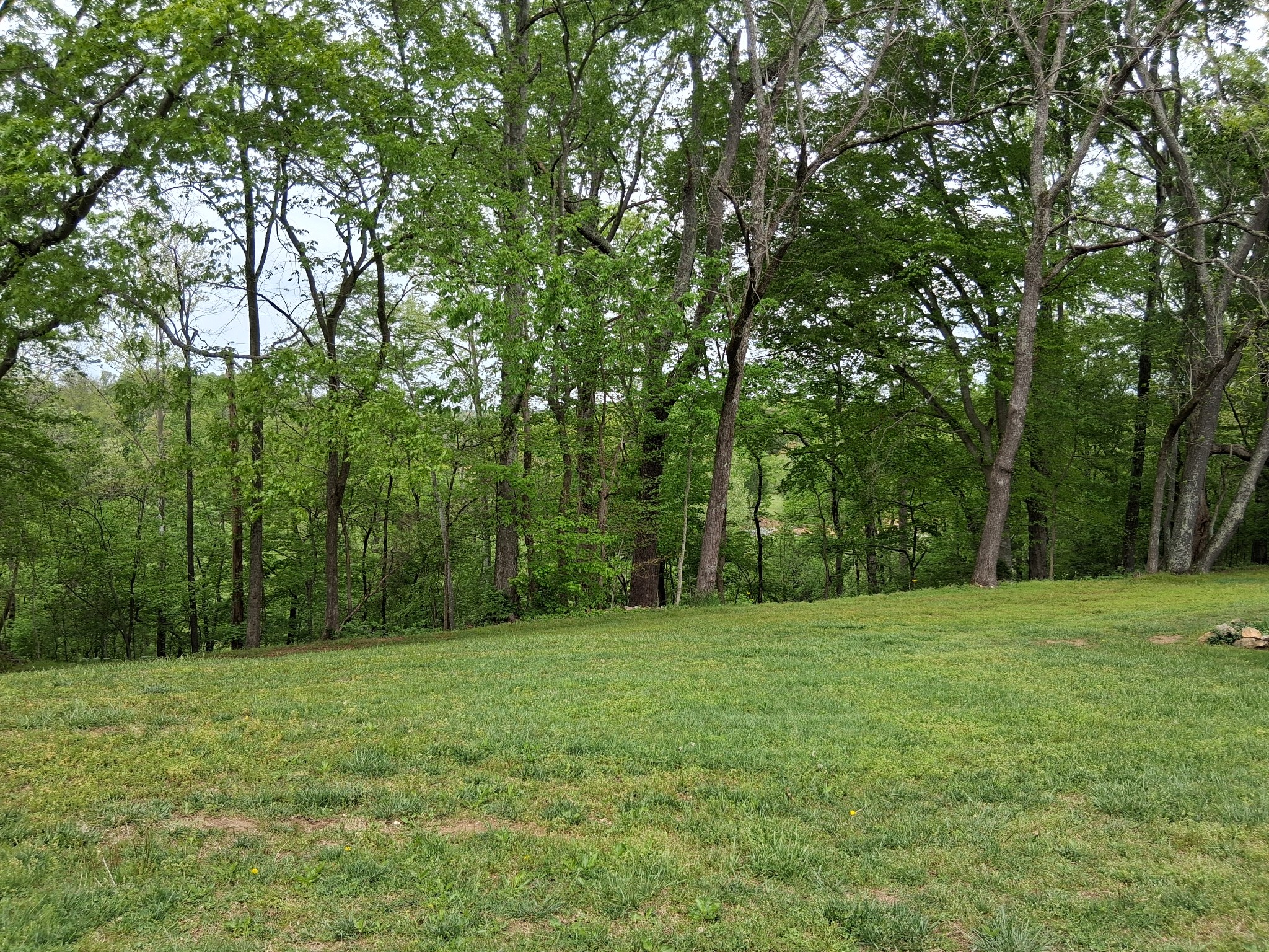 1253 White Road Bon Aqua, TN 37025 - Photo 71 of 73
