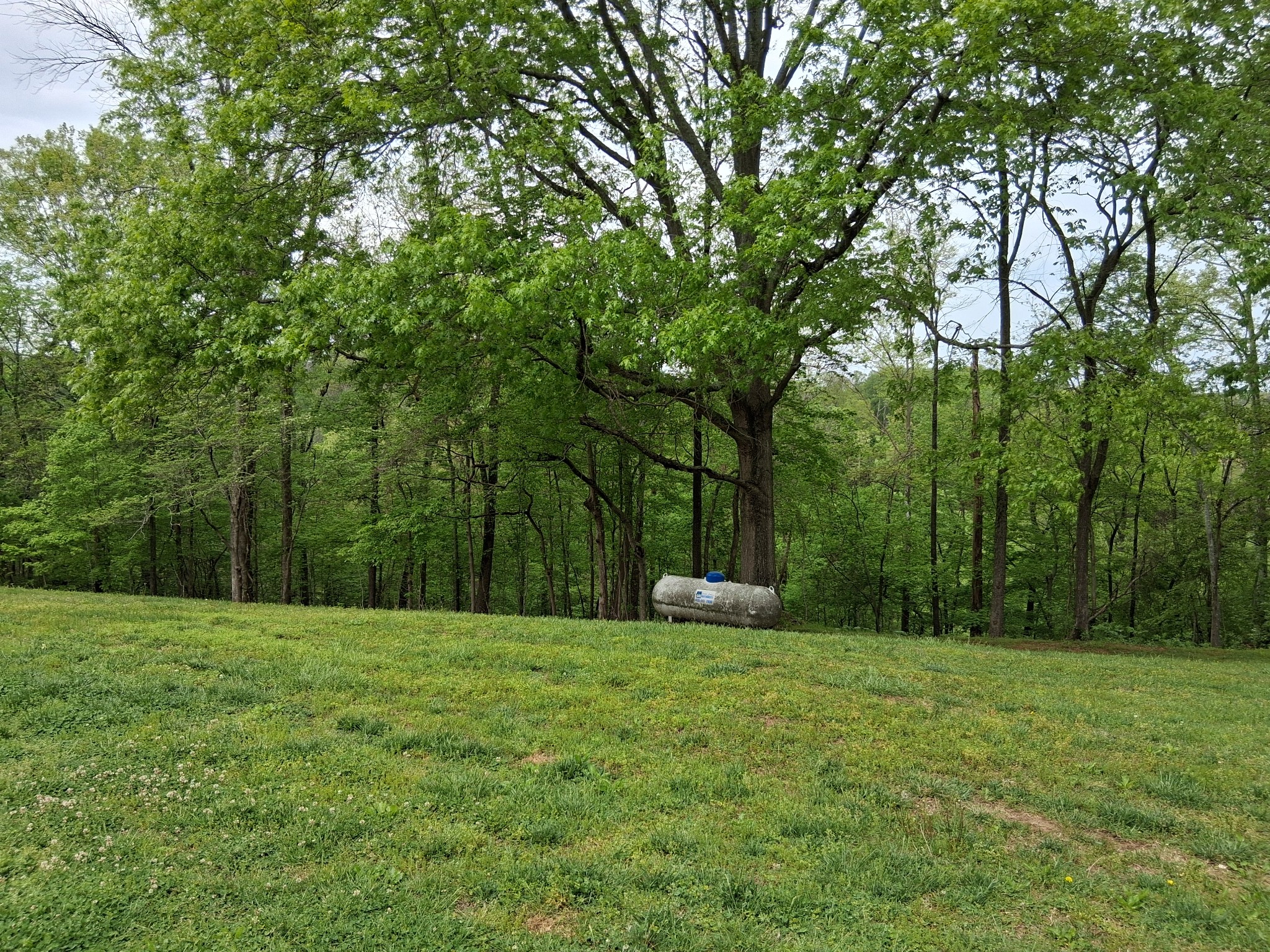 1253 White Road Bon Aqua, TN 37025 - Photo 72 of 73