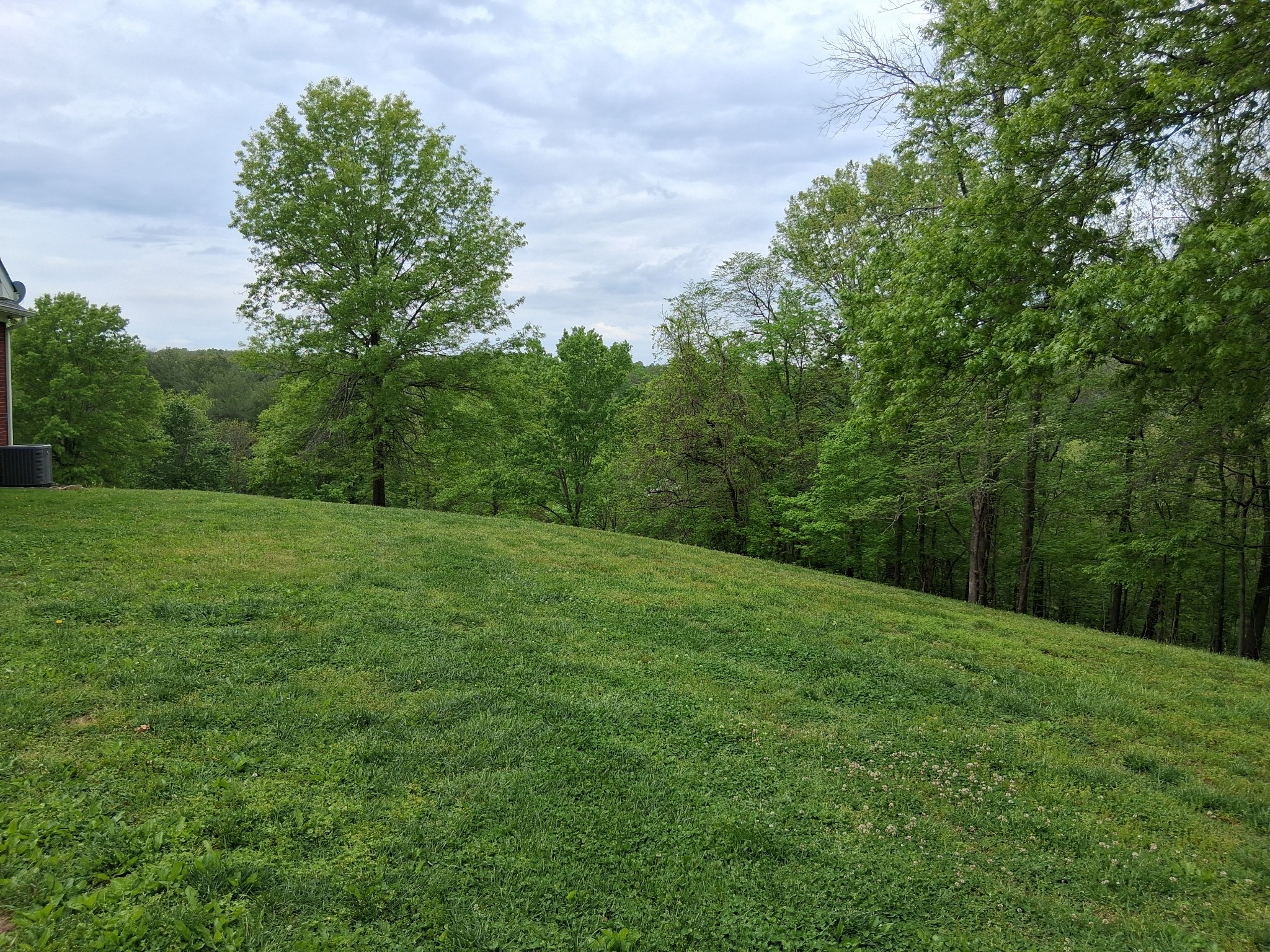 1253 White Road Bon Aqua, TN 37025 - Photo 73 of 73