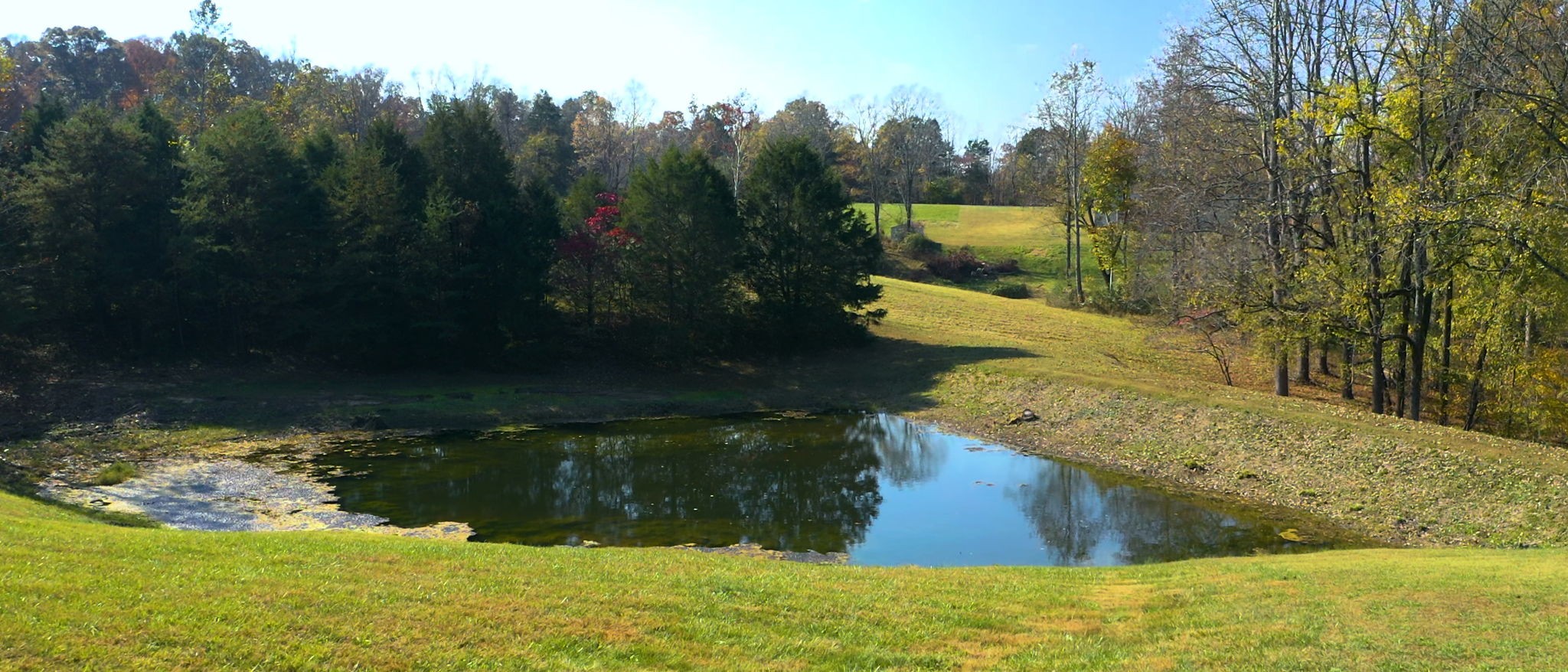 1253 White Road Bon Aqua, TN 37025 - Photo 8 of 73