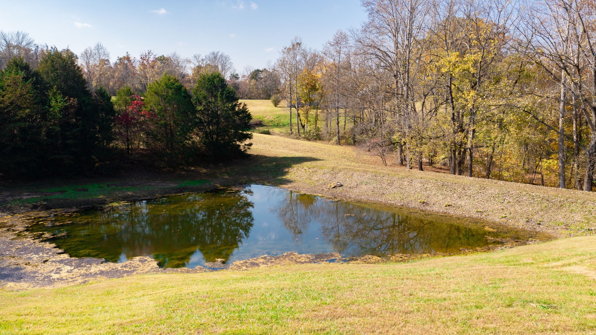 1253 White Road Bon Aqua, TN 37025 - Photo 9 of 73