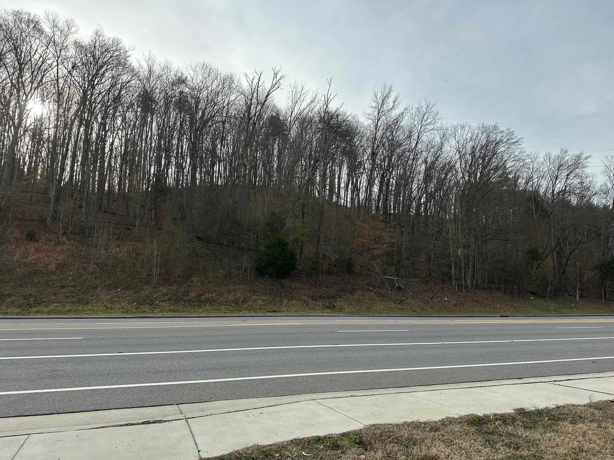 15 Rhea County Highway Dayton, TN 37321 - Photo 3 of 6