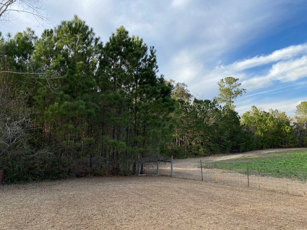 4942 Davidson Road Valdosta, GA 31605 - Photo 24 of 44 Gallery Image 24