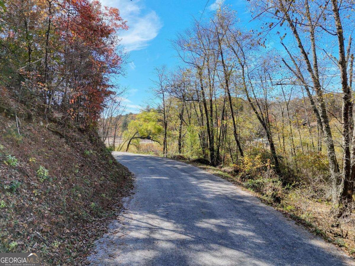 2.24-ac Lower Star Creek Road Morganton, GA 30560 - Photo 2 of 14