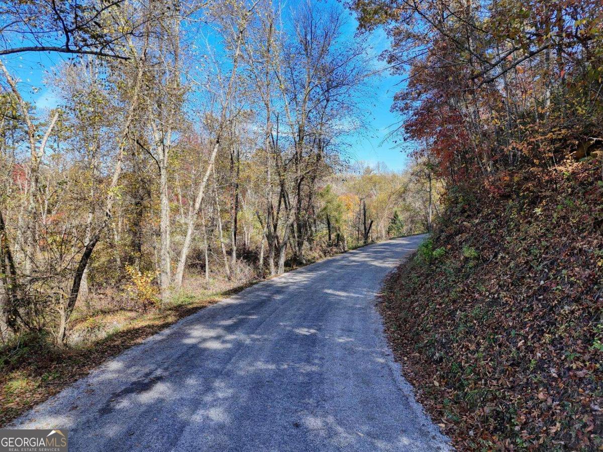 2.24-ac Lower Star Creek Road Morganton, GA 30560 - Photo 3 of 14