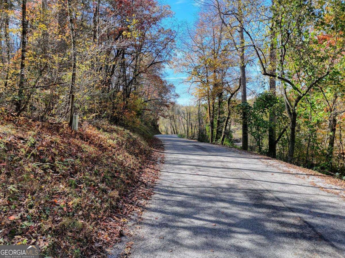 2.24-ac Lower Star Creek Road Morganton, GA 30560 - Photo 5 of 14