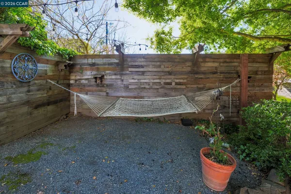 a view of a backyard with plants and trees
