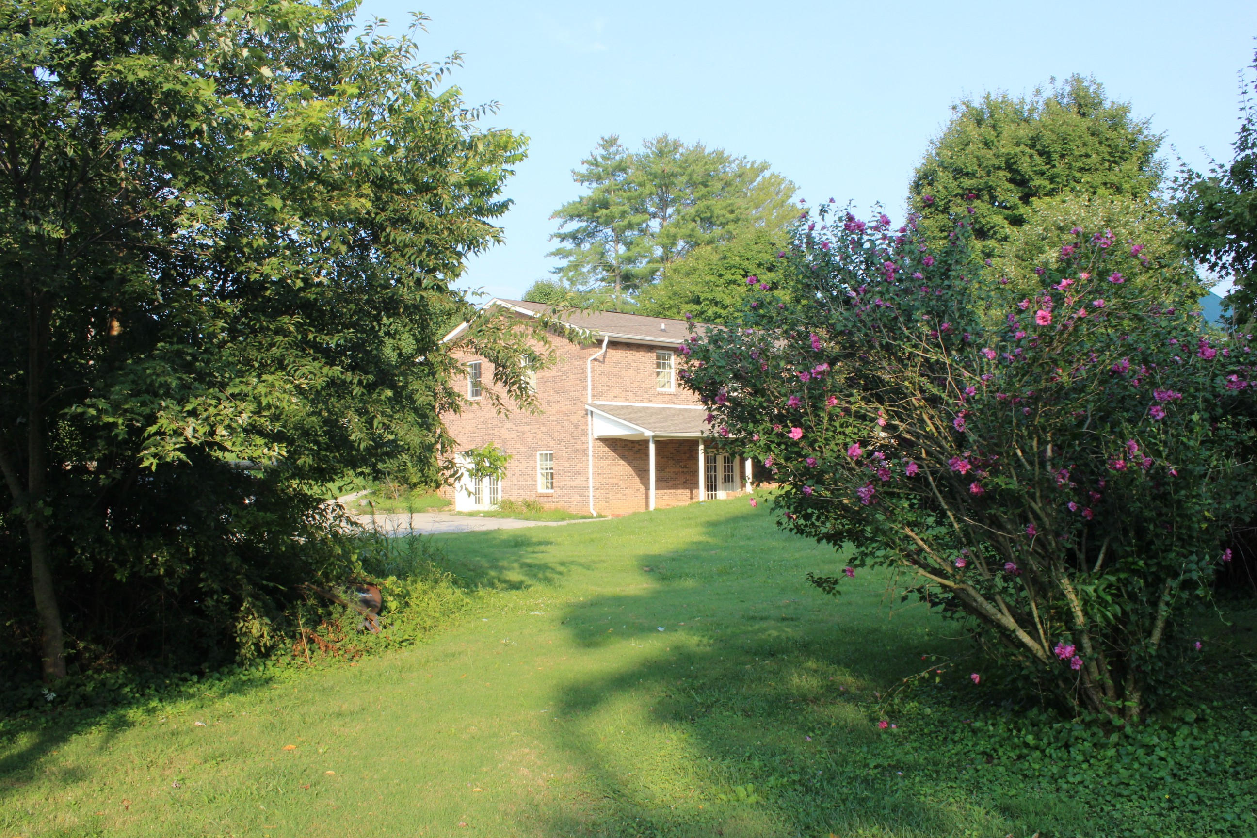 416 McTeer Road Greenback, TN 37742 - Photo 14 of 19 Rear from back of property