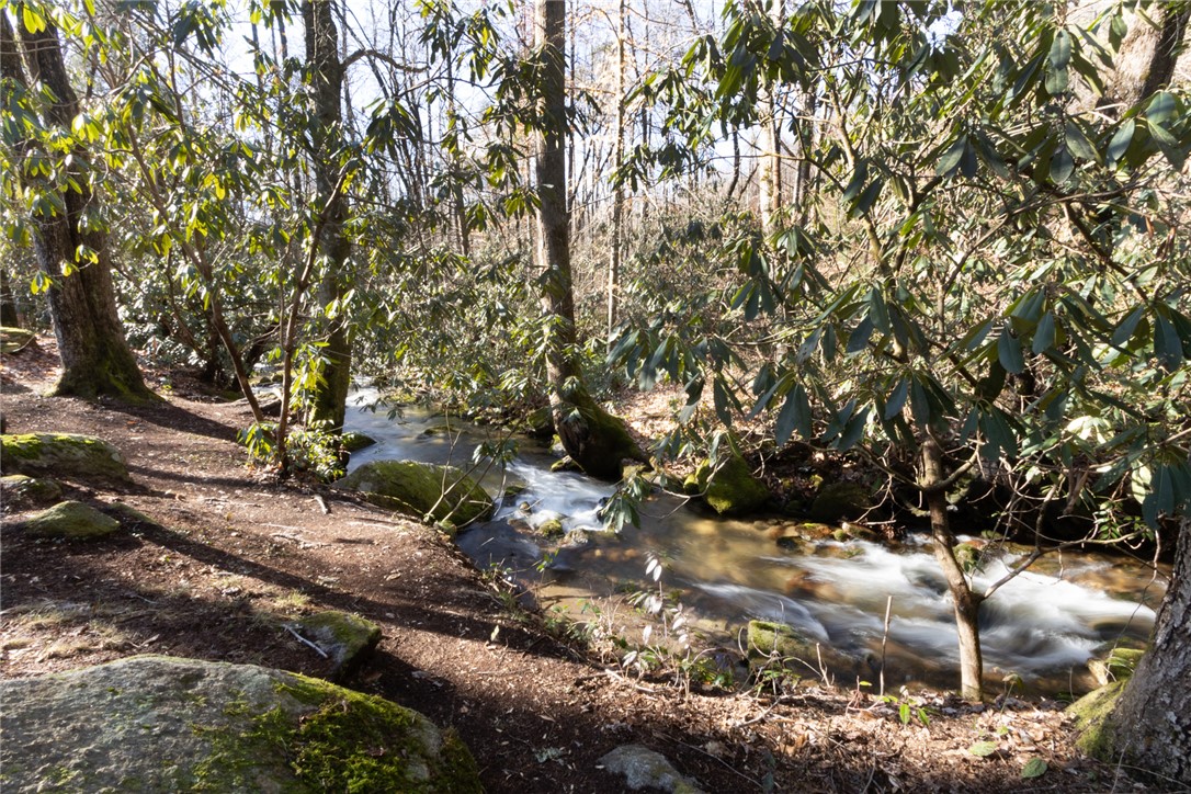 205 Rocky Bottom Road Sunset, SC 29685 - Photo 29 of 46 A rushing mountain stream flows gracefully through a dense, wooded forest setting.