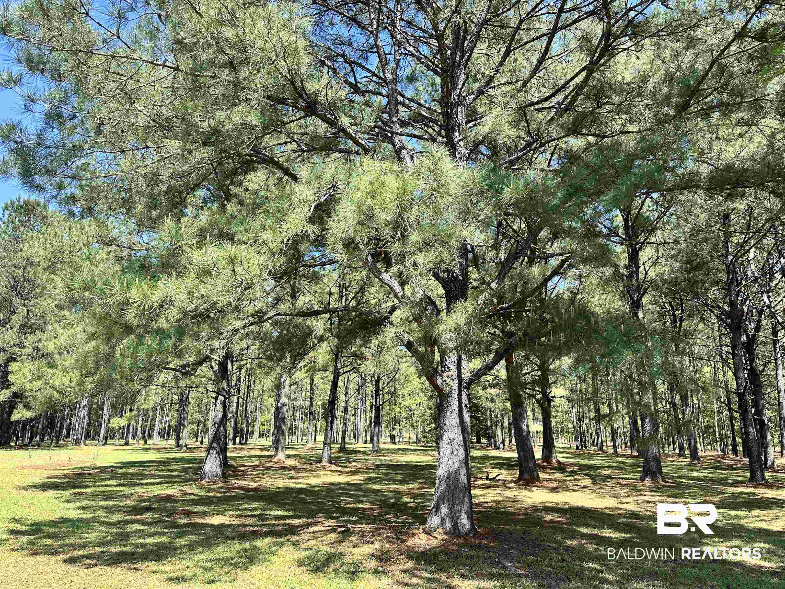 5675 Highway 41 Brewton, AL 36426 - Photo 25 of 34