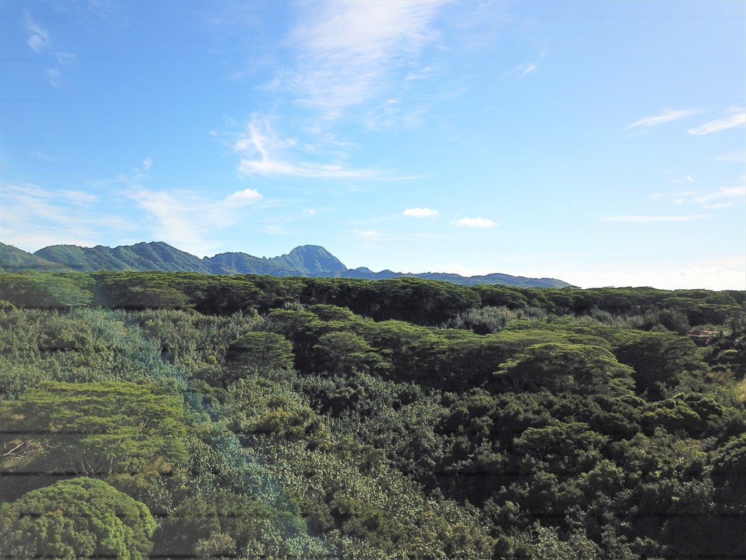 3746 Omao Road Koloa, HI 96756 - Photo 22 of 25 a view of a city with lush green forest