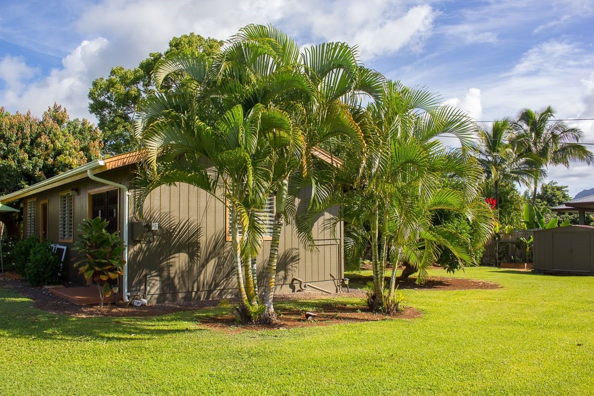 3746 Omao Road Koloa, HI 96756 - Photo 25 of 25 a view of a backyard with plants and patio