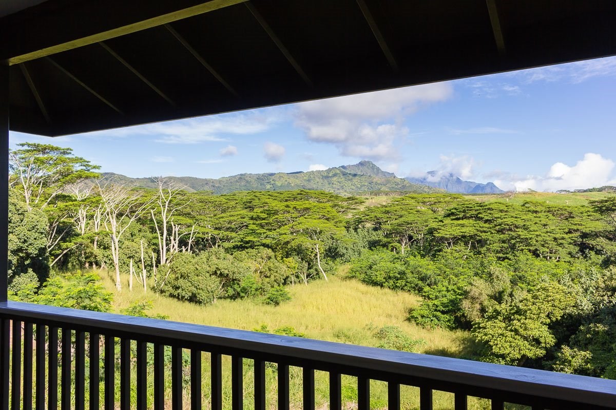3746 Omao Road Koloa, HI 96756 - Photo 5 of 25 a view of a yard