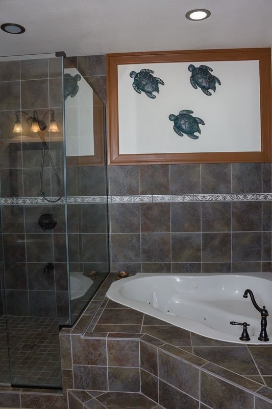 3746 Omao Road Koloa, HI 96756 - Photo 10 of 25 a bathroom with a bathtub and shower