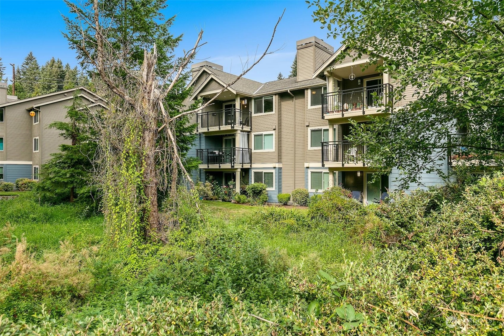 19404 Bothell Way Northeast, Unit B303 Bothell, WA 98011 - Photo 2 of 27 a front view of a house with a yard