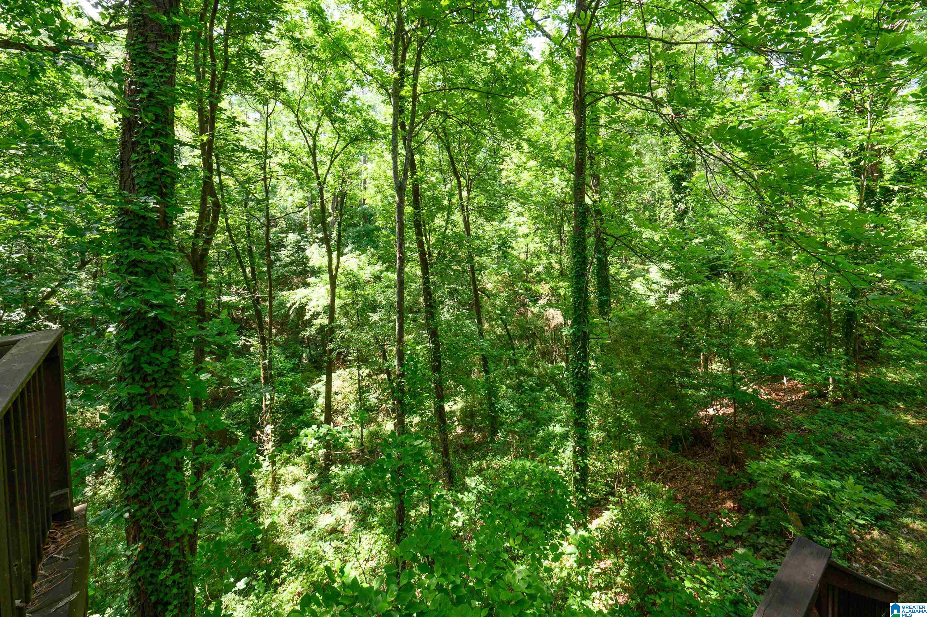 2153 Partridge Berry Road Birmingham, AL 35244 - Photo 55 of 60 Gallery Image 55