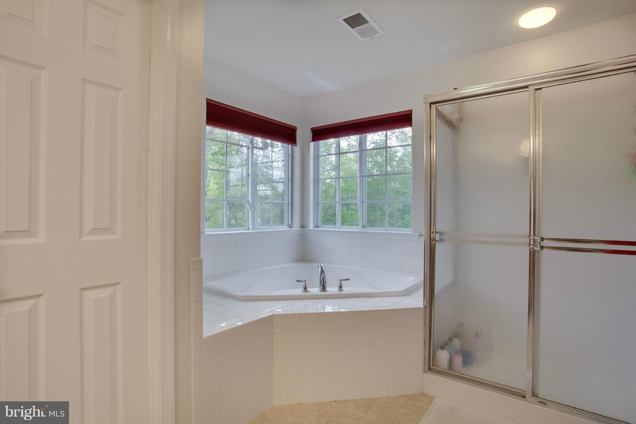 2008 Baythorne Road Prince Frederick, MD 20678 - Photo 17 of 24 Bath (Master)