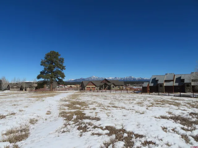 a view of a dry yard covered with snow in the background