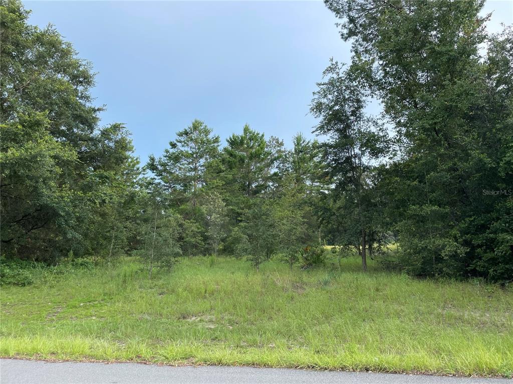 Southwest 169th Place Ocala, FL 34473 - Photo 1 of 1 Front of Property looking from SW 169th St