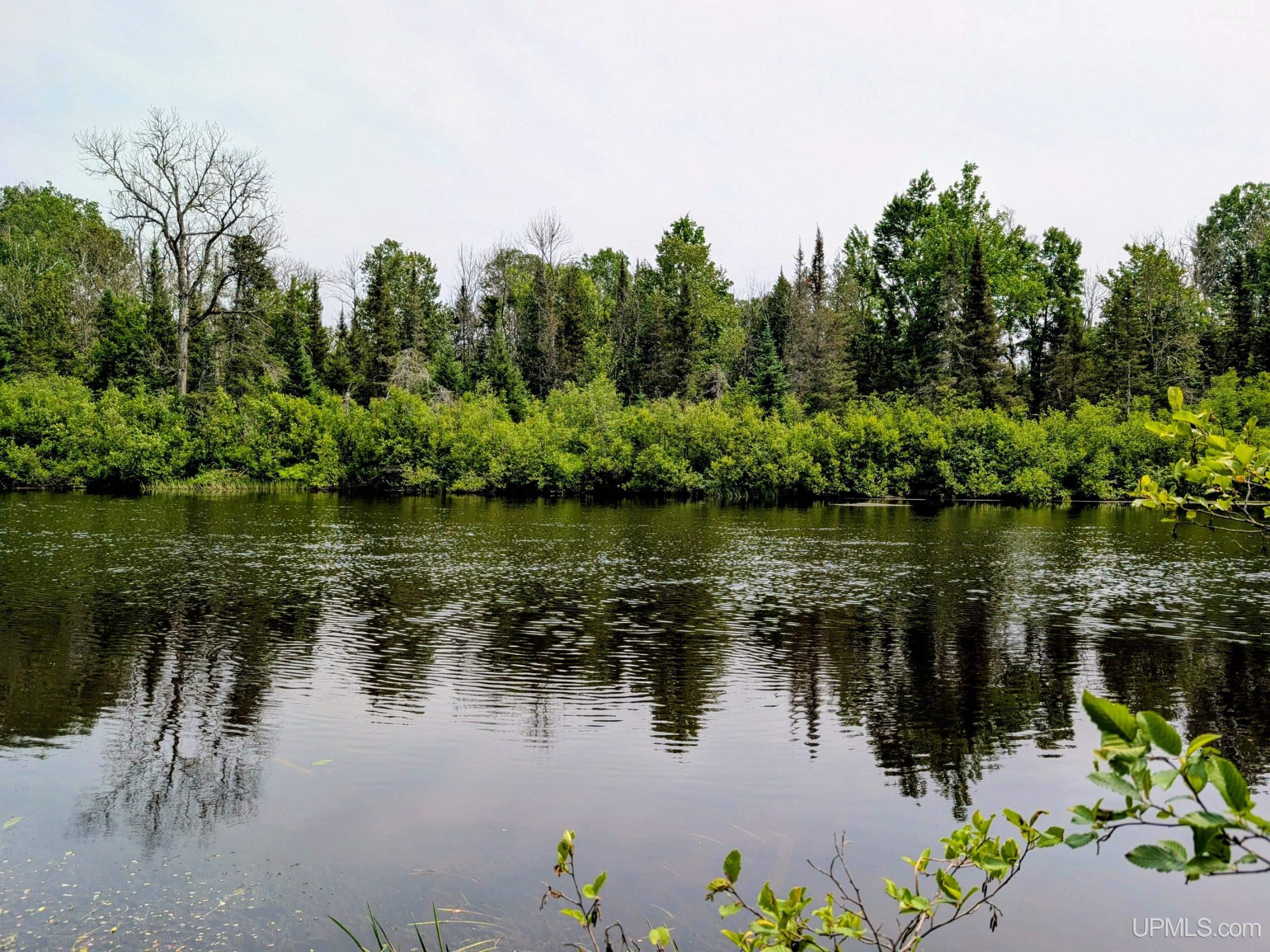 Tbd Pond Road Iron River, MI 49935 - Photo 20 of 26