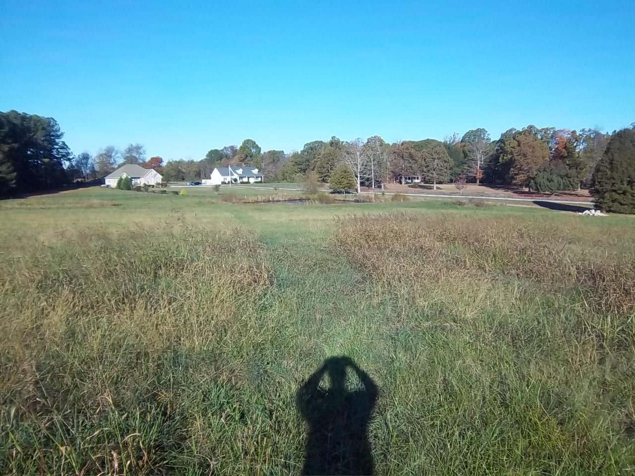 0 North Wallace Road Springfield, TN 37172 - Photo 3 of 17 a view of a garden