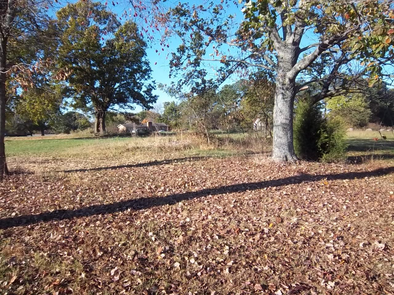 0 North Wallace Road Springfield, TN 37172 - Photo 7 of 17 a view of a yard with wooden fence