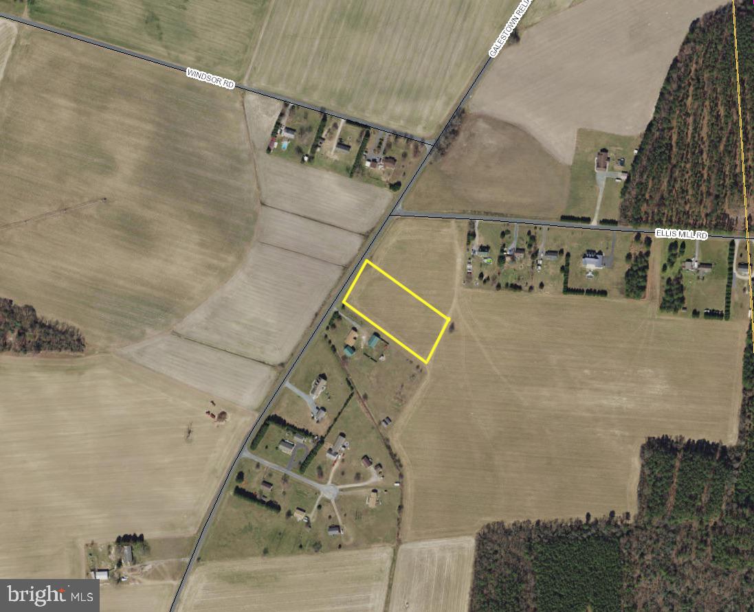 5711 Galestown - Reliance Road Rhodesdale, MD 21659 - Photo 4 of 6 *Yellow perimeter is not exact