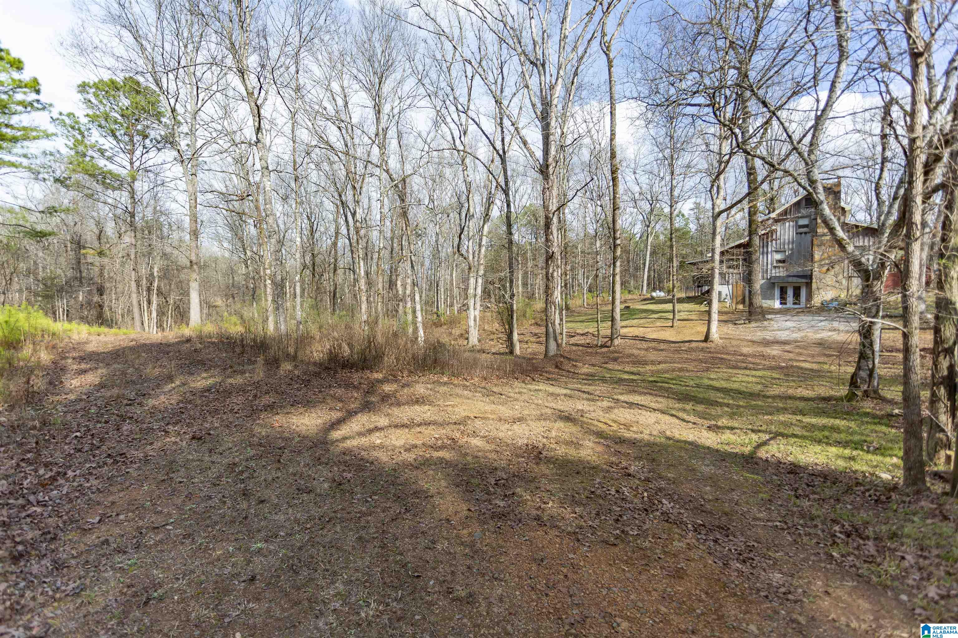 345 Brown Road Calera, AL 35040 - Photo 74 of 88 Gallery Image 74