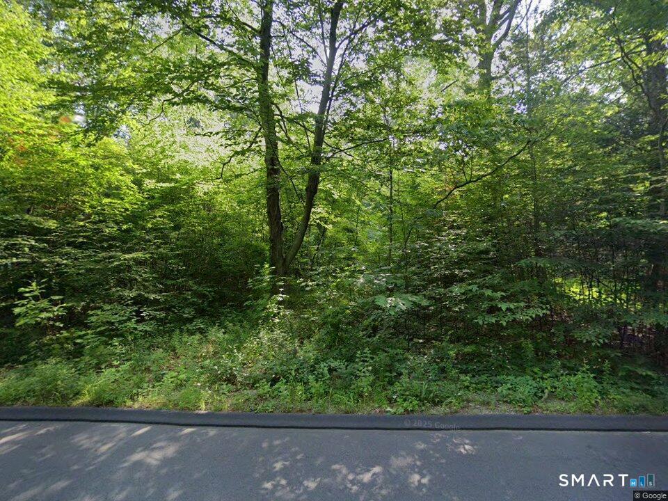 a view of a forest