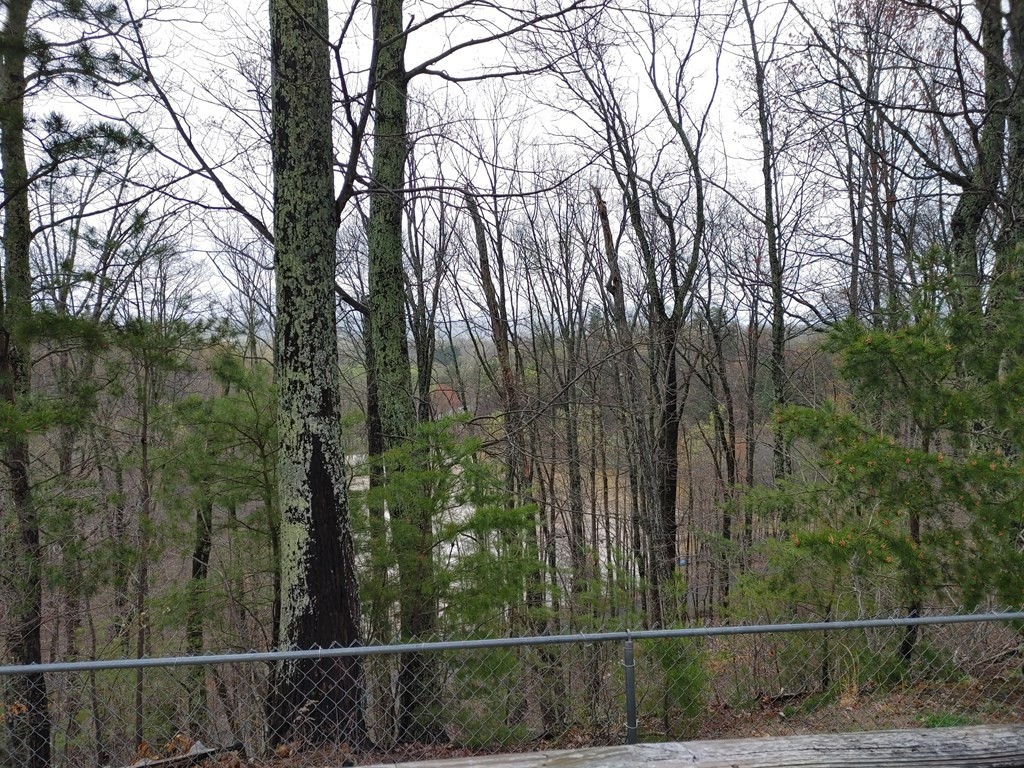 1338 Applewood Road Newport, TN 37821 - Photo 3 of 16 Gallery Image 3