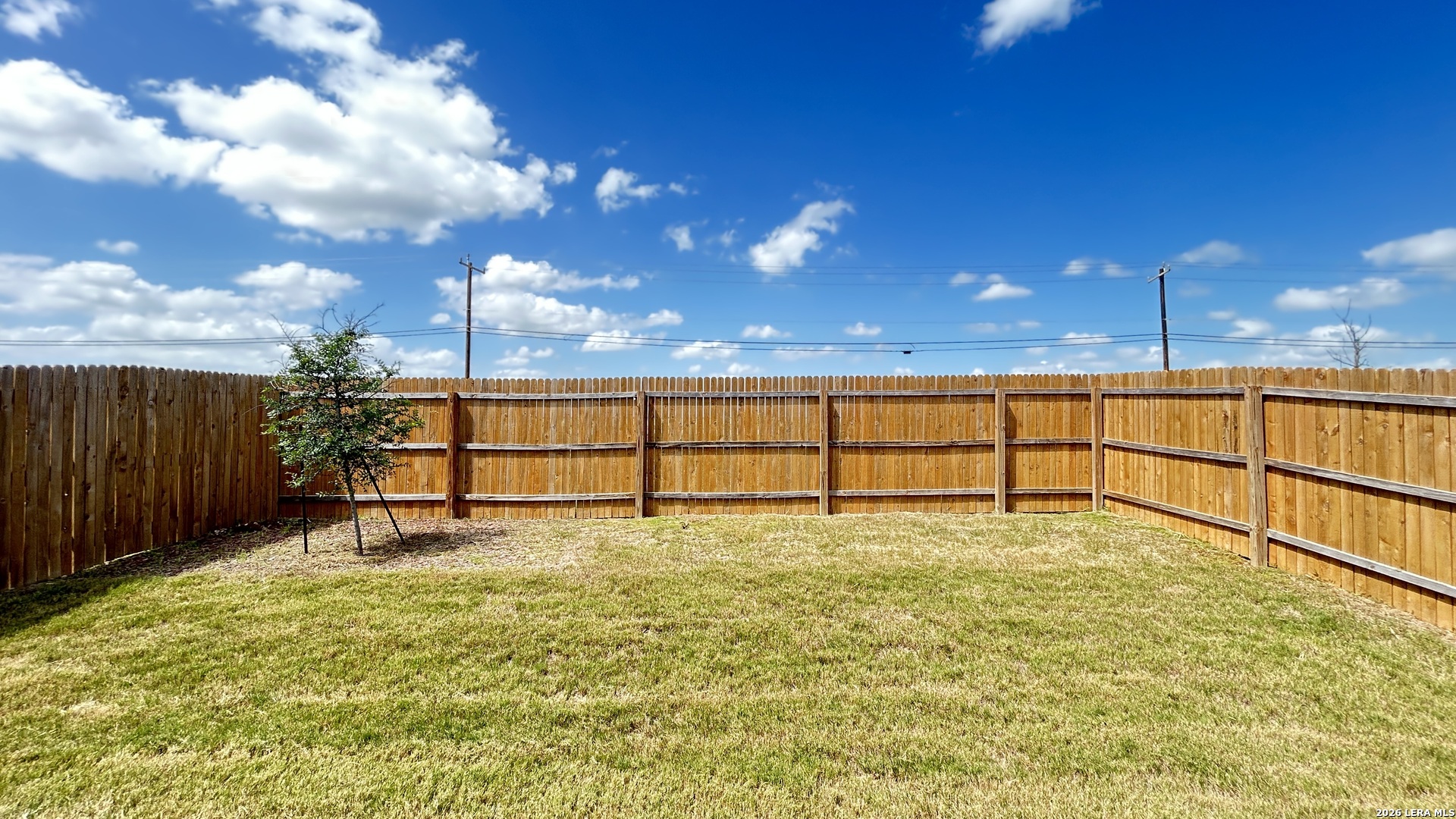 11653 Dog Rose Converse, TX 78109 - Photo 26 of 29