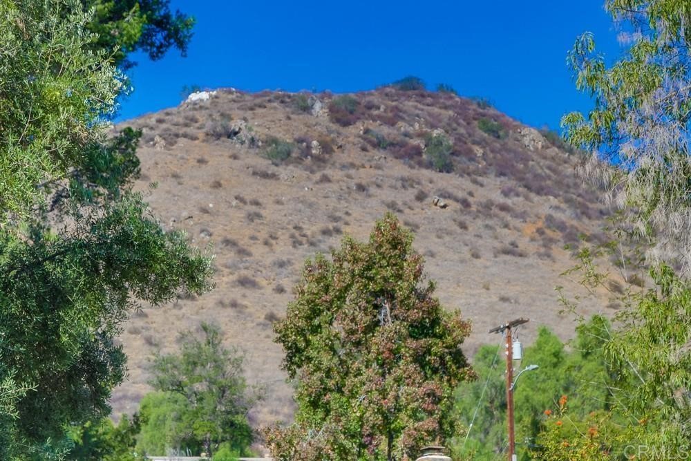 11941 Royal Road, Unit A El Cajon, CA 92021 - Photo 25 of 28 a view of a dry yard with trees in the background