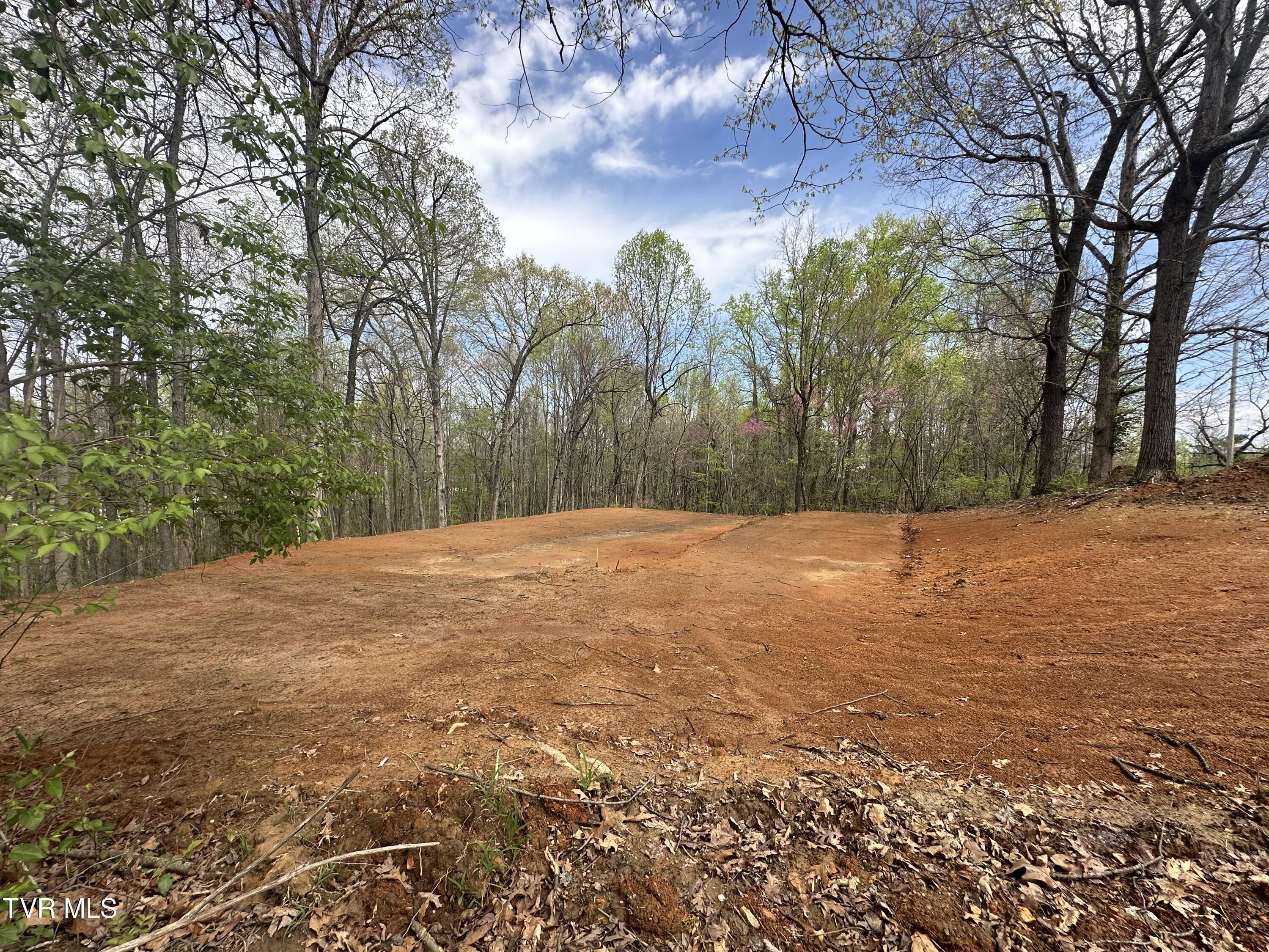 226 West Barton Ridge Road Greeneville, TN 37743 - Photo 1 of 7 IMG_3502