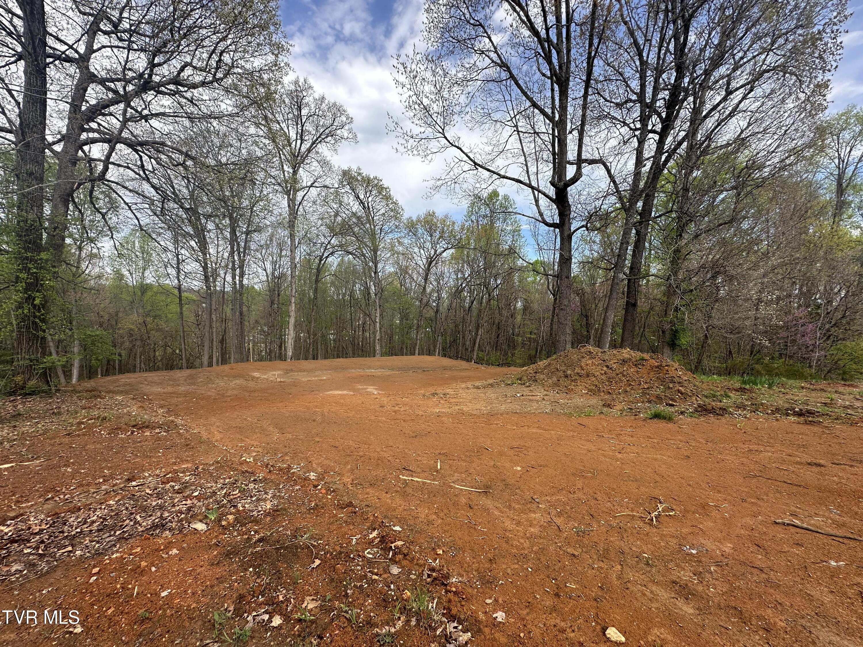 226 West Barton Ridge Road Greeneville, TN 37743 - Photo 2 of 7 IMG_3496