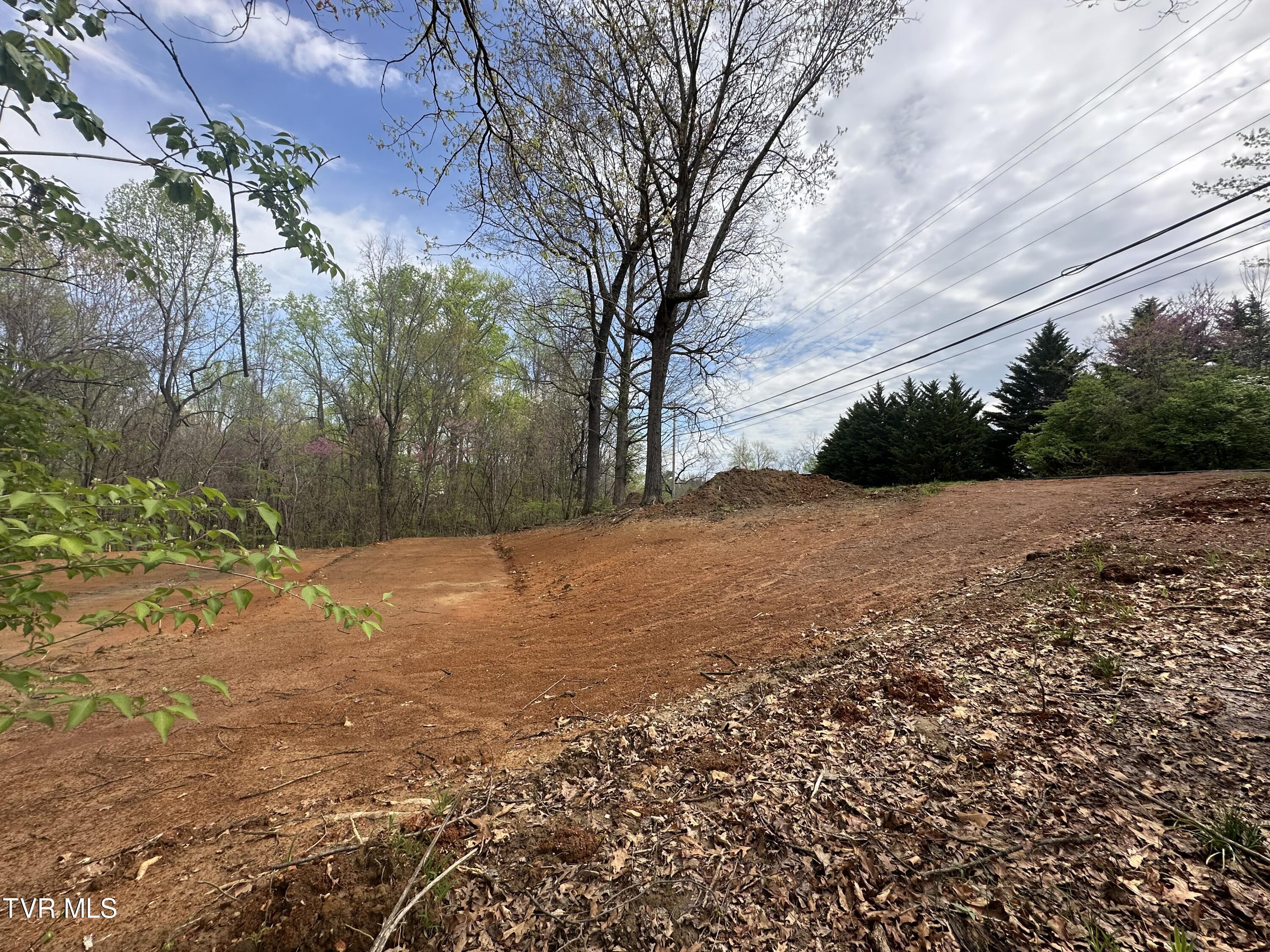 226 West Barton Ridge Road Greeneville, TN 37743 - Photo 5 of 7 IMG_3501