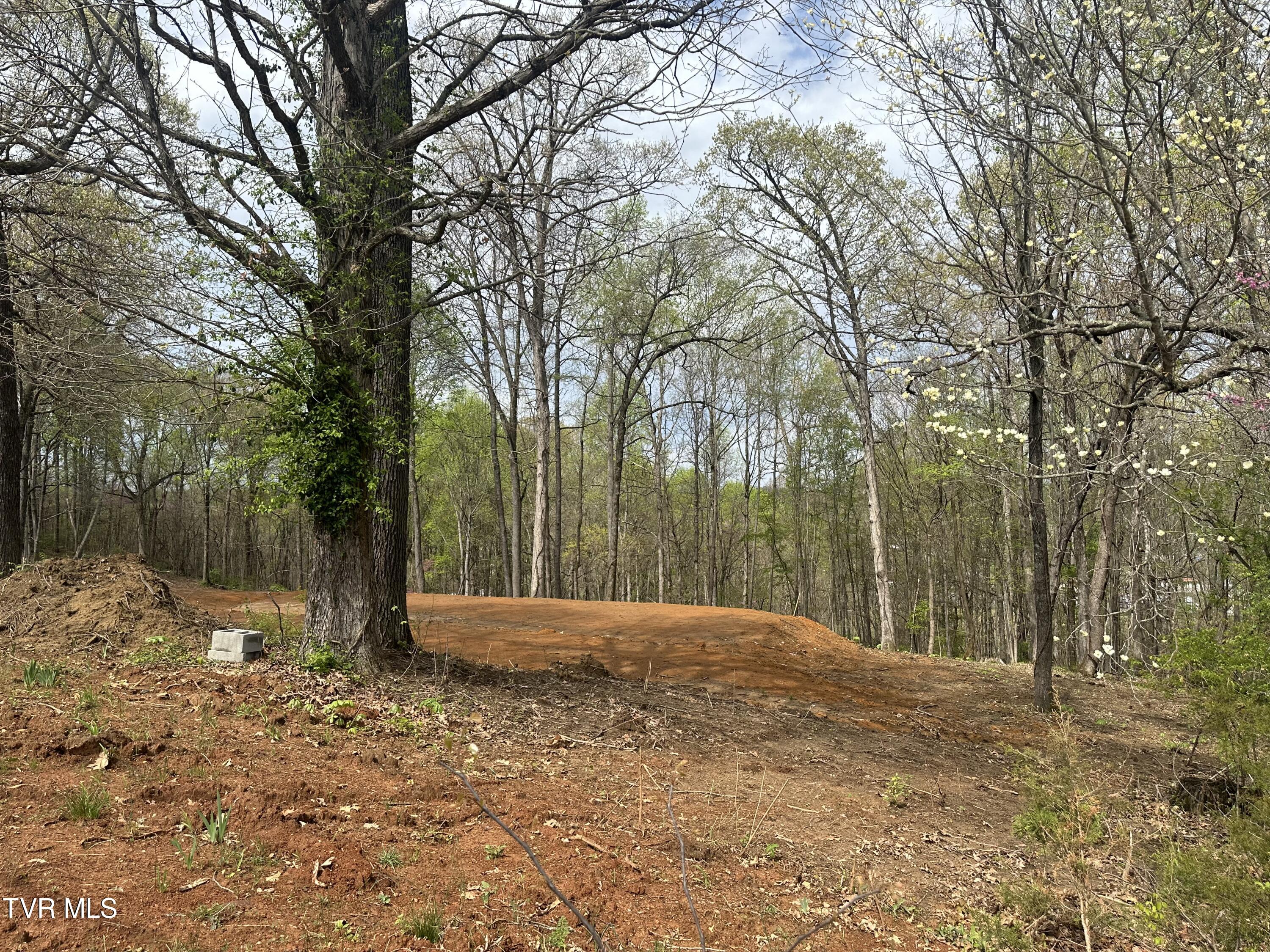 226 West Barton Ridge Road Greeneville, TN 37743 - Photo 6 of 7 IMG_3493