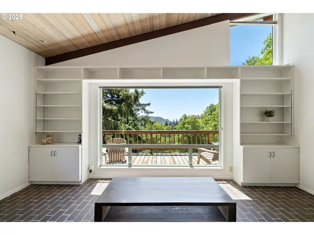 a view of a backyard with plants