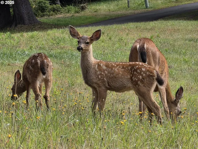 a view of a furniture in room