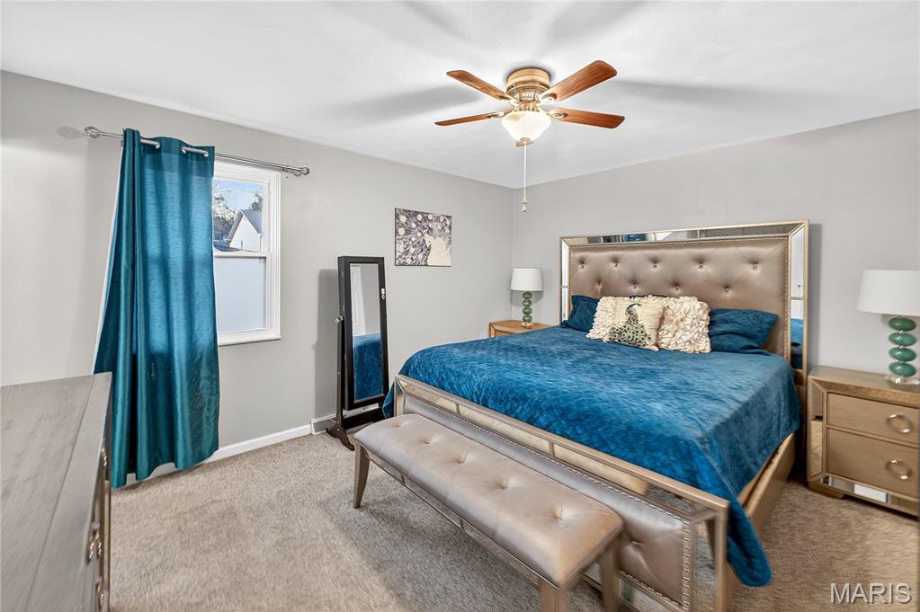 503 Mary Drive Waterloo, IL 62298 - Photo 19 of 48