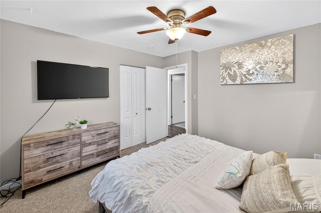 503 Mary Drive Waterloo, IL 62298 - Photo 20 of 48