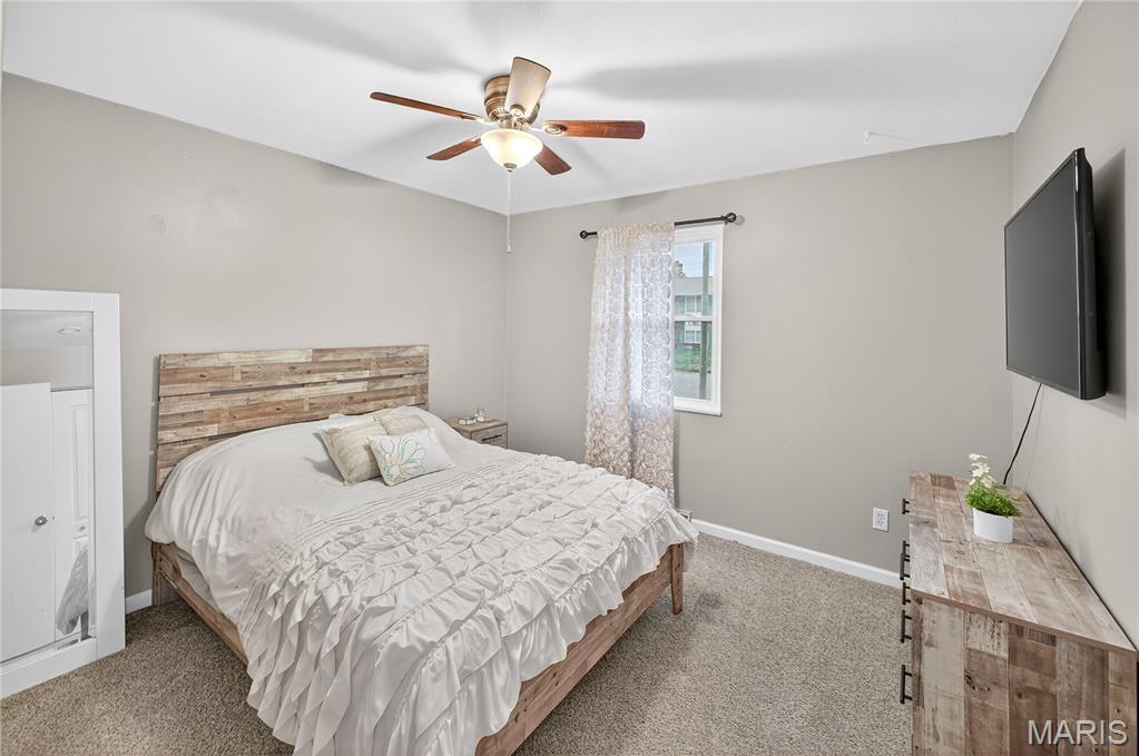 503 Mary Drive Waterloo, IL 62298 - Photo 21 of 48