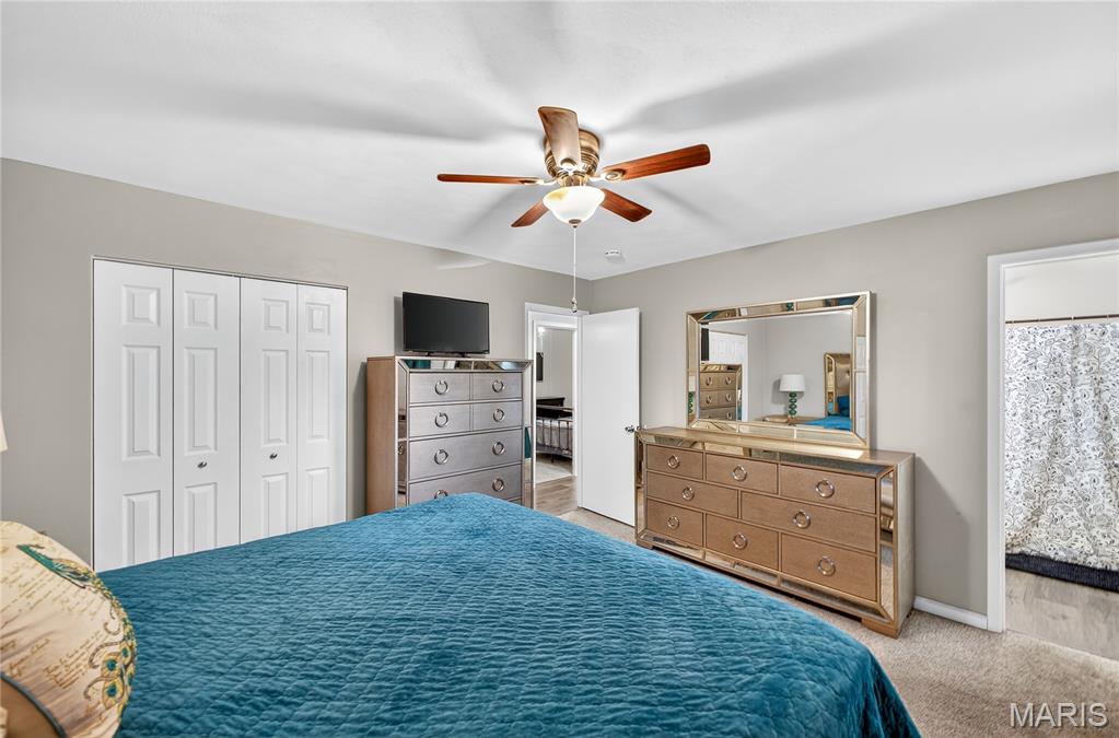 503 Mary Drive Waterloo, IL 62298 - Photo 22 of 48