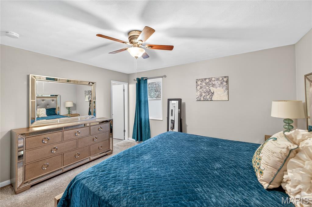 503 Mary Drive Waterloo, IL 62298 - Photo 23 of 48