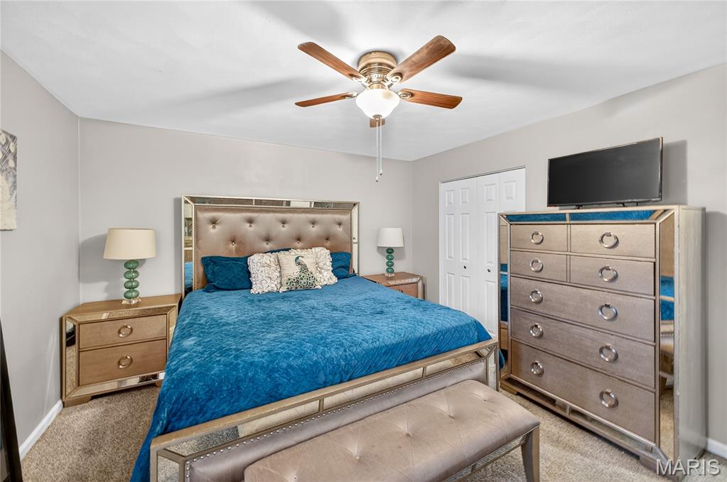 503 Mary Drive Waterloo, IL 62298 - Photo 6 of 48